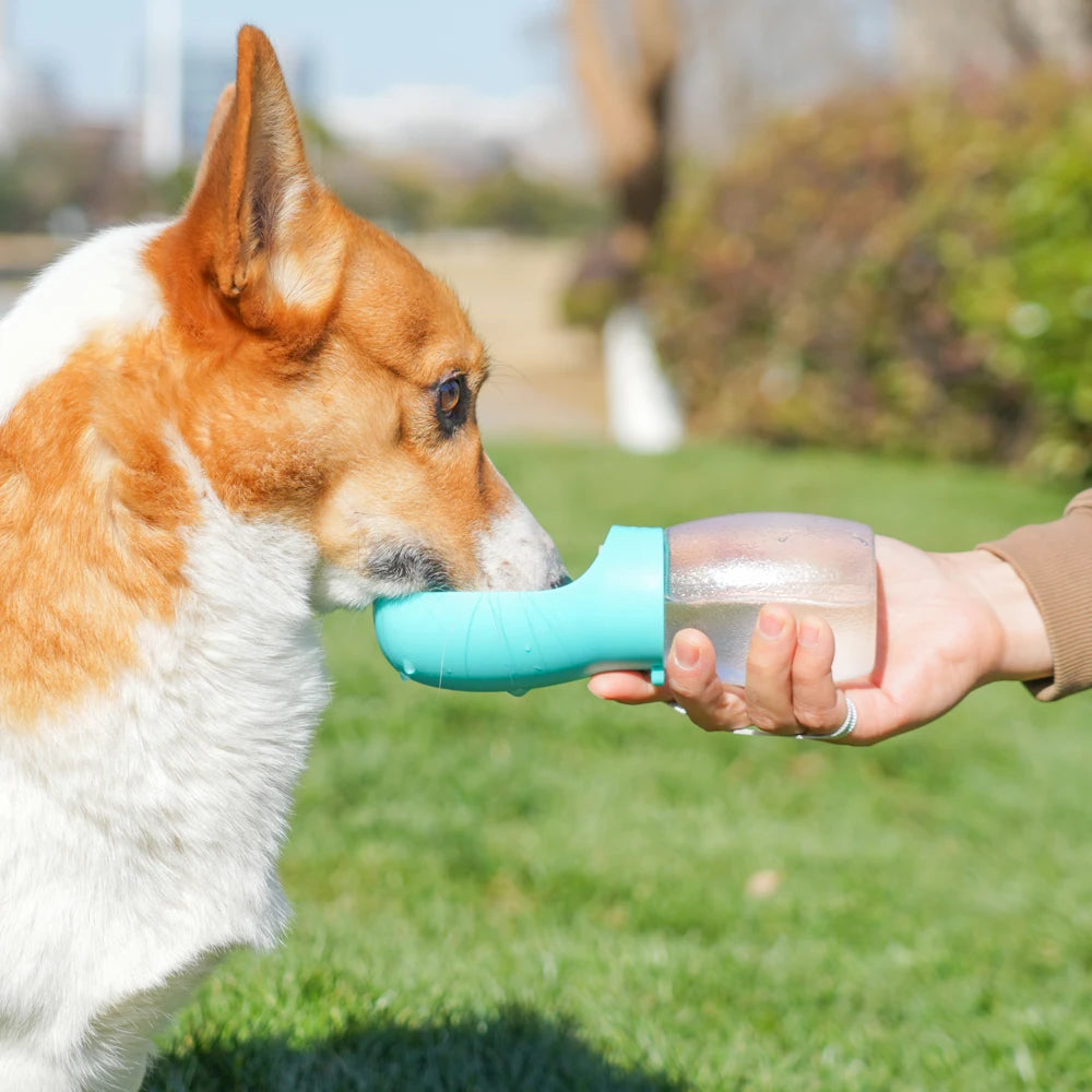 Portable Dog Water Bottle — 300 mL