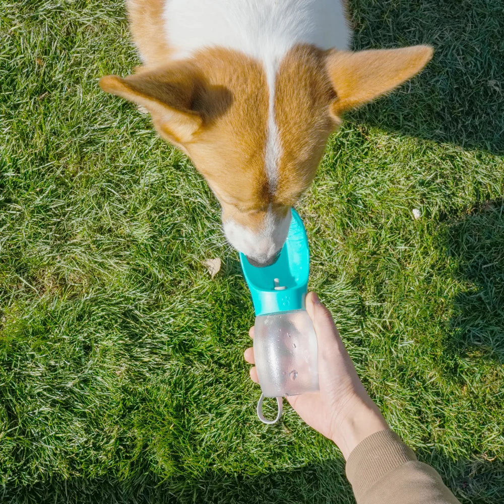 Portable Dog Water Bottle — 300 mL